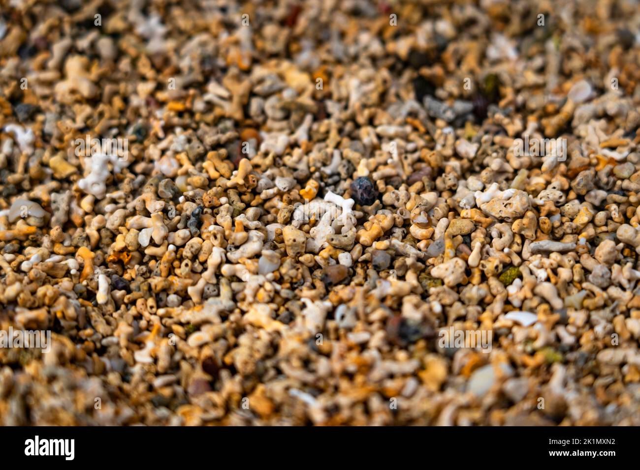 rá an Dóilín (Coral Strand) - Dolin Strand, Carraroe, Connemara, Galway, Ireland. The unusual 'sand' on the beach is often thought to be a form of cor Stock Photo