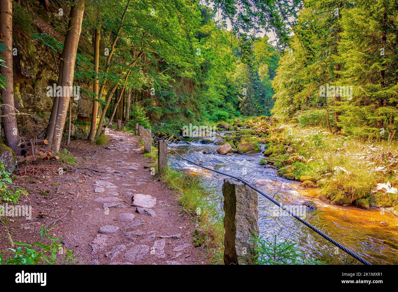 Mountain path beside Kamienna river. Karkonosze National Park. Stock Photo