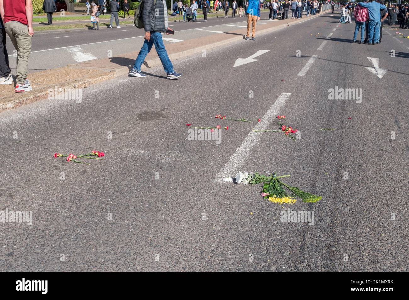 Flowers left on the road thrown at Queen Elizabeth II's passing hearse, London, UK on its way to her burial in St Georges Chapel, Windosor Castle, UK. Stock Photo