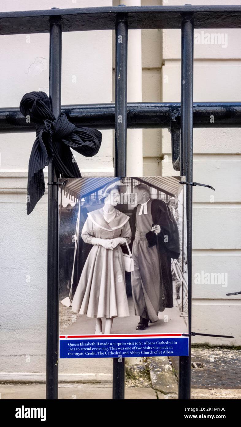 Queen On Railing Black and White pictures of Queen Elizabeth II attached to the railings ...