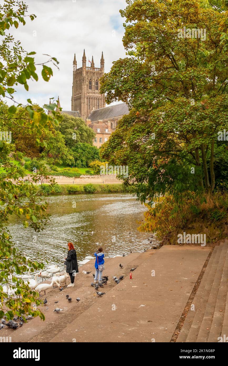 Worcester Cathedral Worcestershire Stock Photo