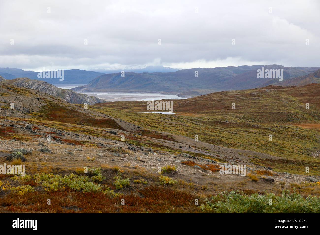 Tundra landscape near the Greenland town of Kangerlussuaq Stock Photo