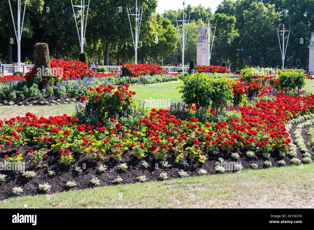 Gardens full of red geraniums, Buckingham palace Stock Photo