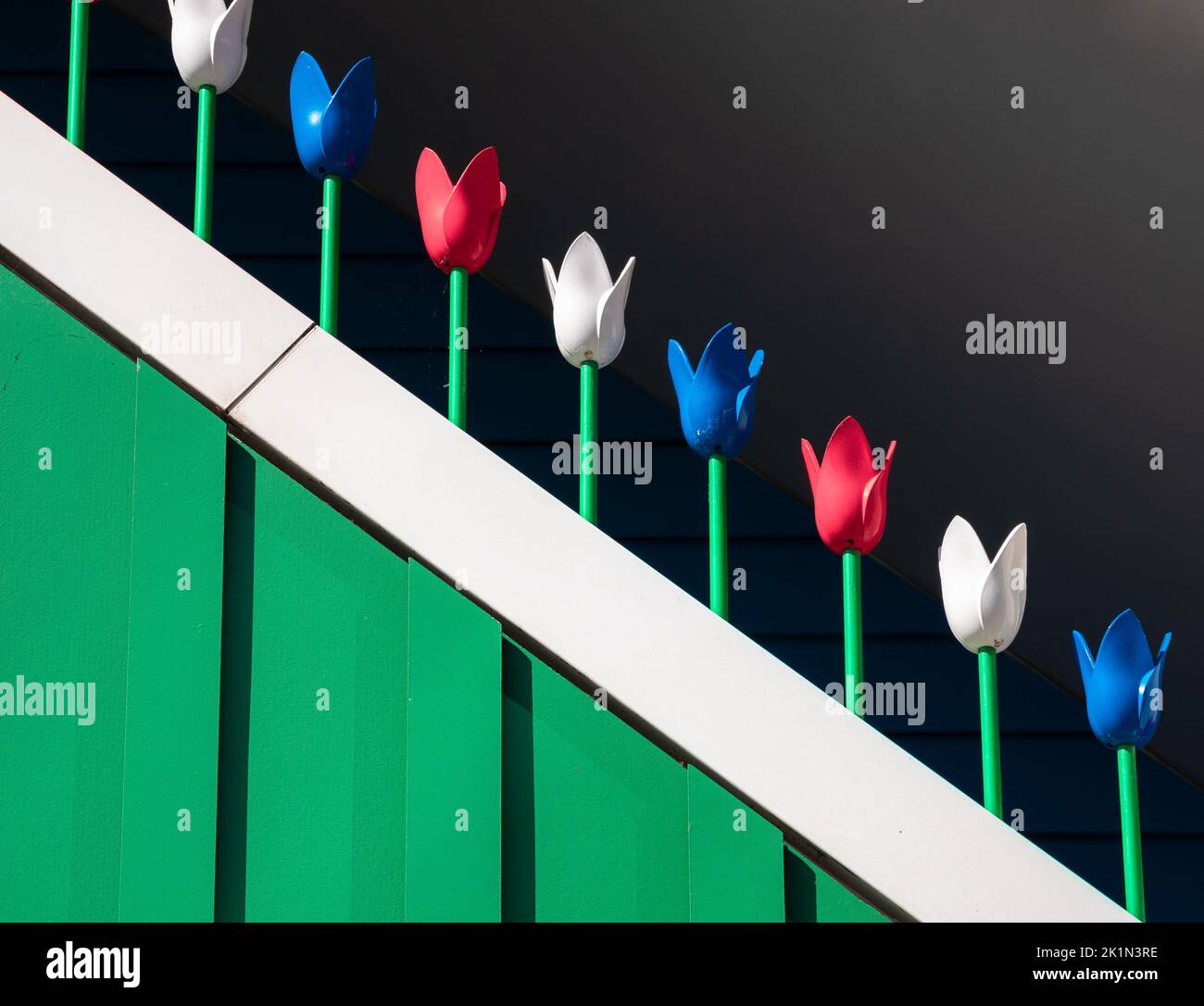 Decorative wooden tulips in the Dutch national colors red, blue, green