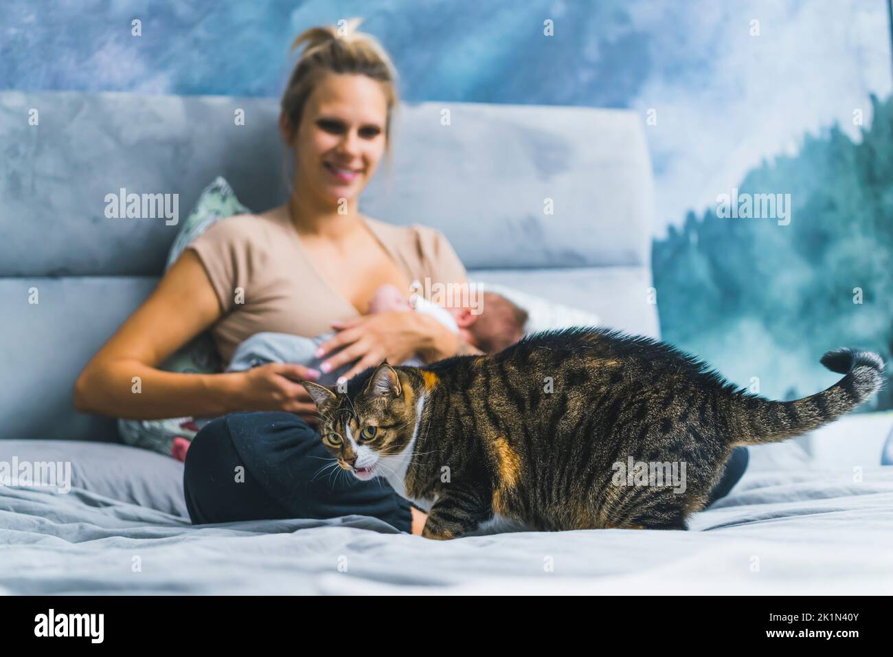 Women Breastfeeding Cat women-breastfeeding-cat