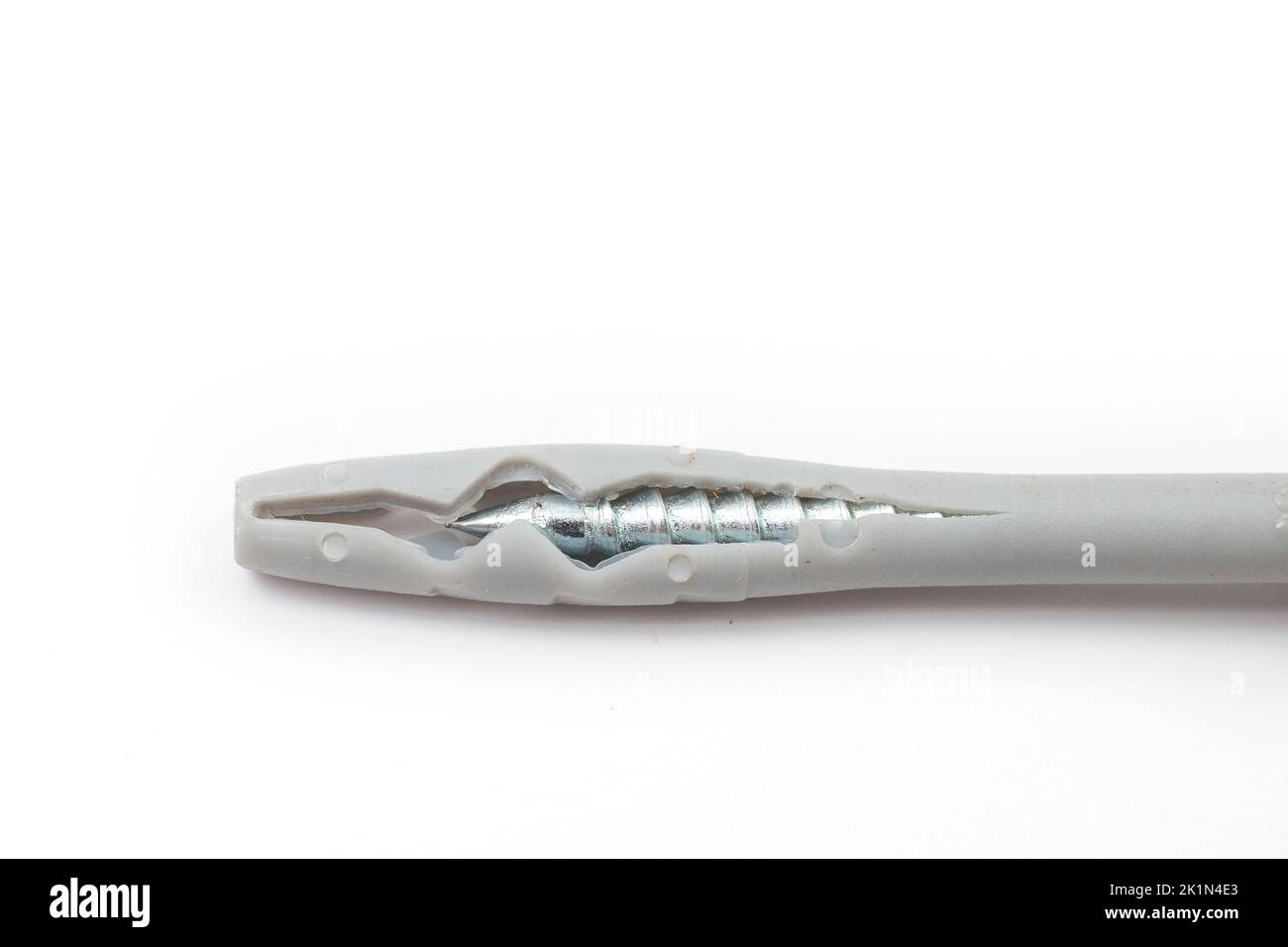 Macro shot of a dowel with a screw, close up isolated on white Stock