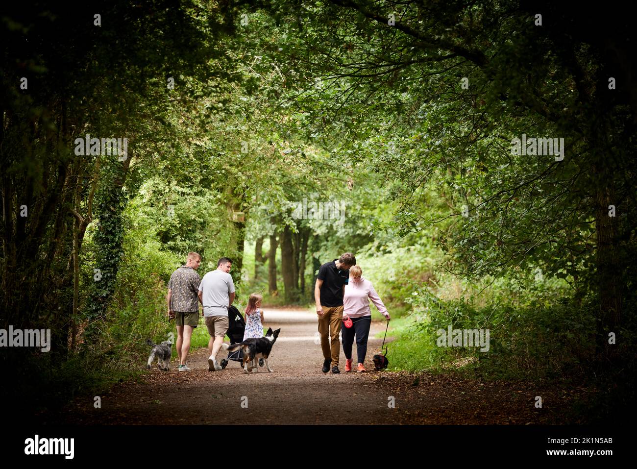 Alsager Cheshire East in Cheshire, England. Salt Line country walks Stock Photo