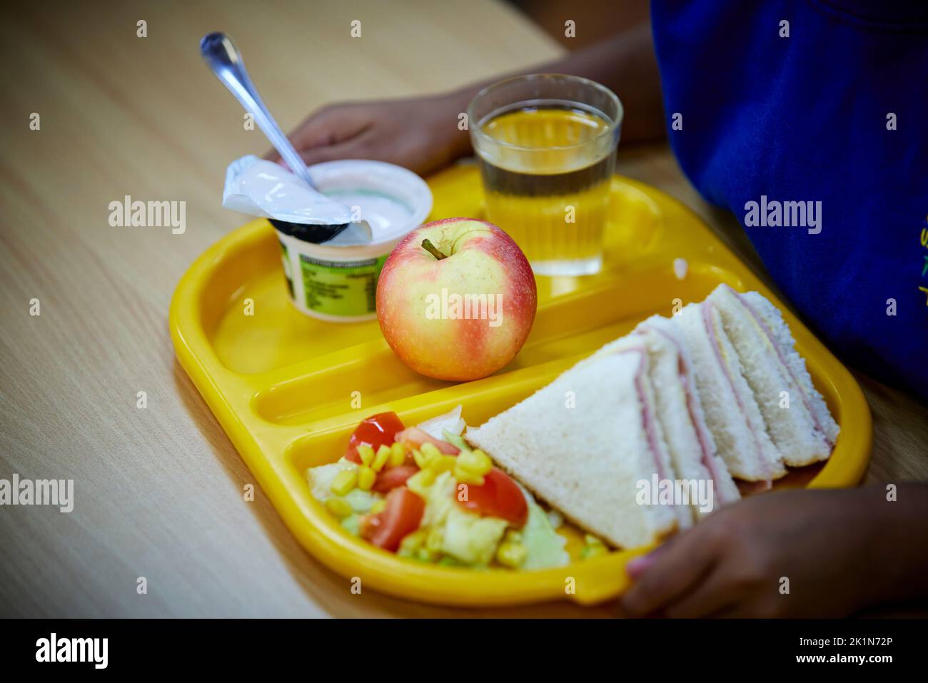 School meal, dinner on a meal try with sandwiches fruit and yogurt Stock Photo