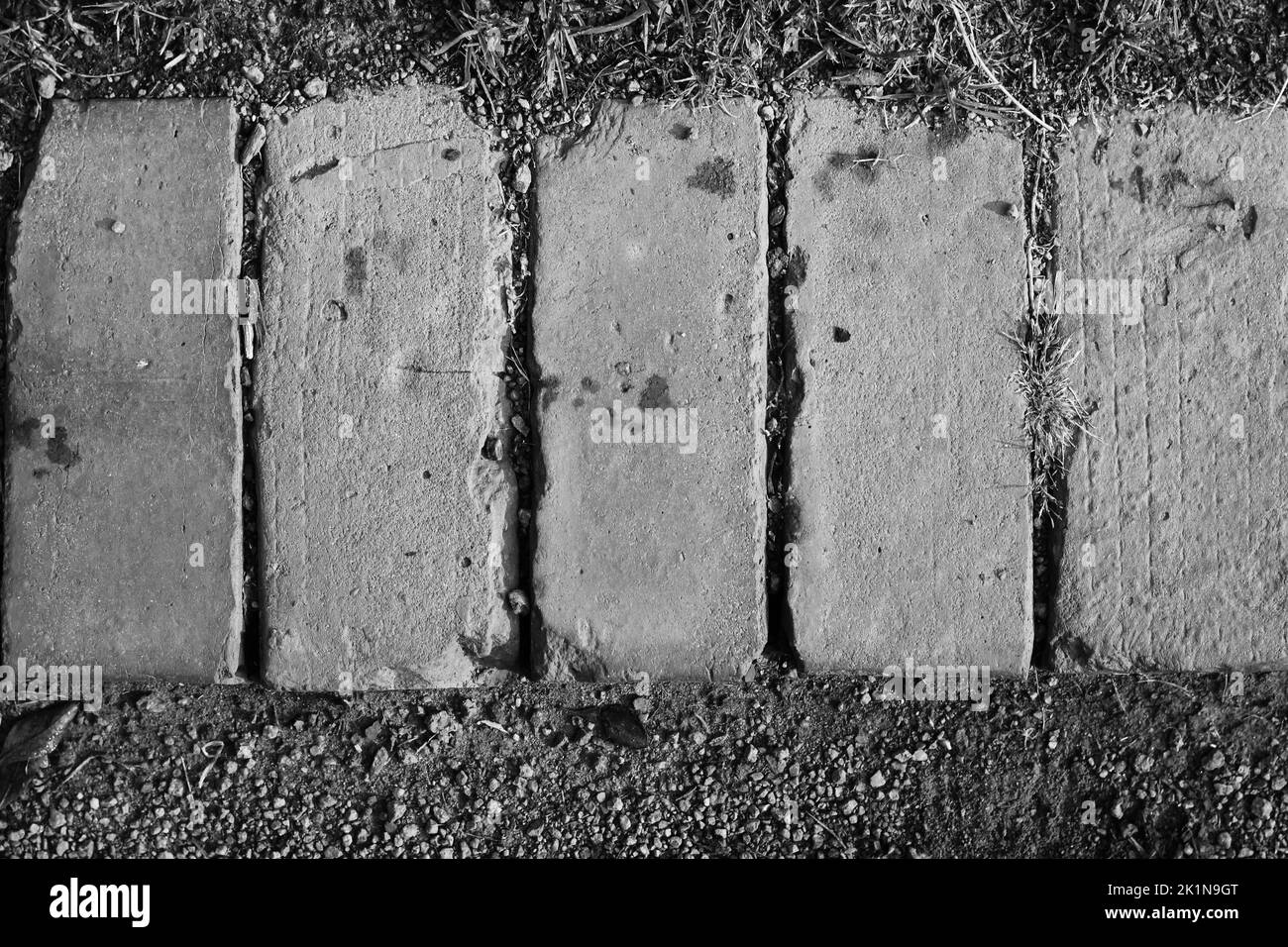 Common clay brick lining a garden path in a black and white monochrome