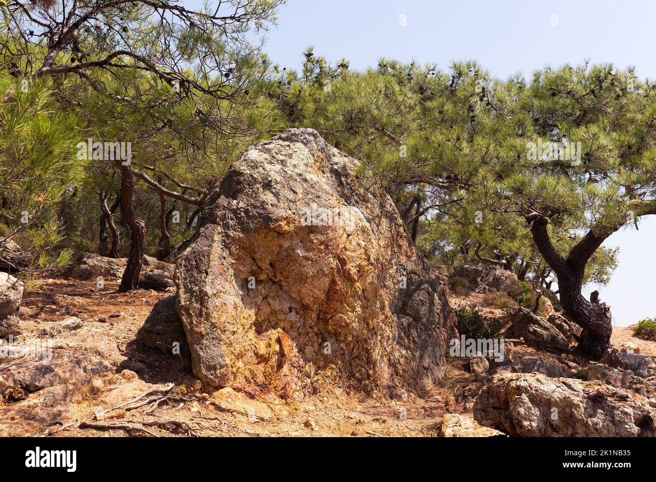 View of volcanic rocks and pine trees called Pinus Brutia captured in Aegean part of Turkey near Ayvalik Town. It is a sunny summer day. Stock Photo