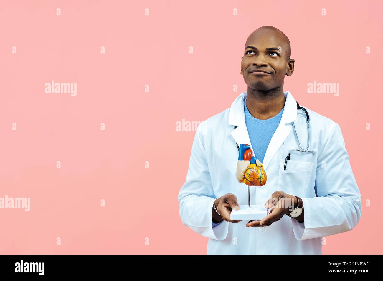 Doctor wearing lab coat holding heart model looking up at copy space indoors studio Stock Photo