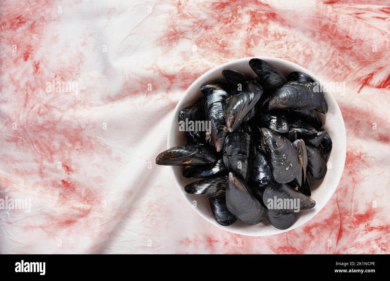Heap of mussels in white plate , preparing healthy eating food Stock Photo