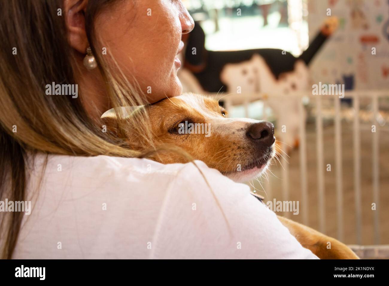 Goiânia, Goias, Brazil – September 17, 2022: Detail of a girl from the back, holding a dog in her arms at an adoption fair. Stock Photo