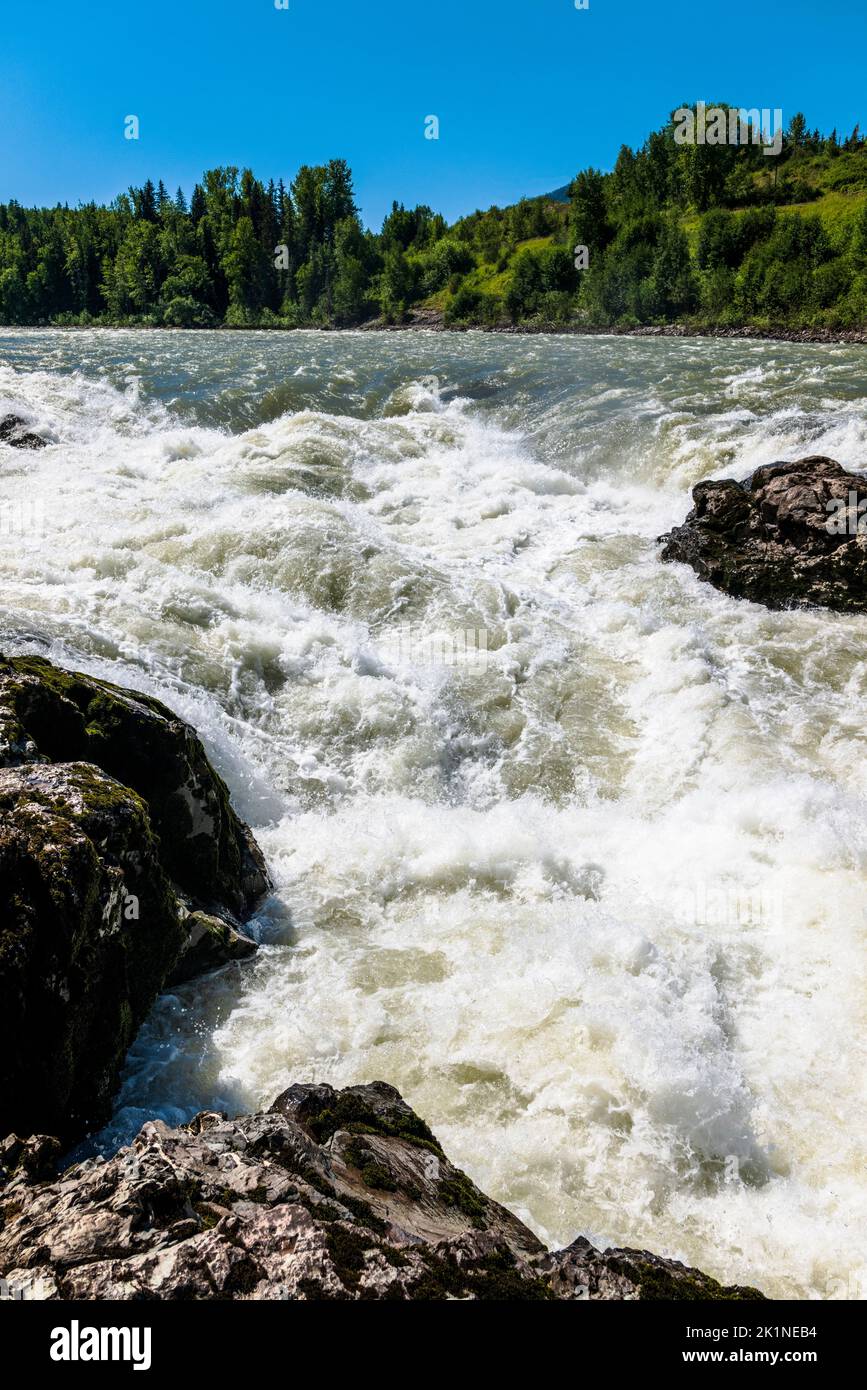 The rapids on the Bulkley River are dip net fished for spawning Sockeye Salmon; by First Nation; Wet’suwet’en; indigenous men; Witset (Moricetown); Br Stock Photo