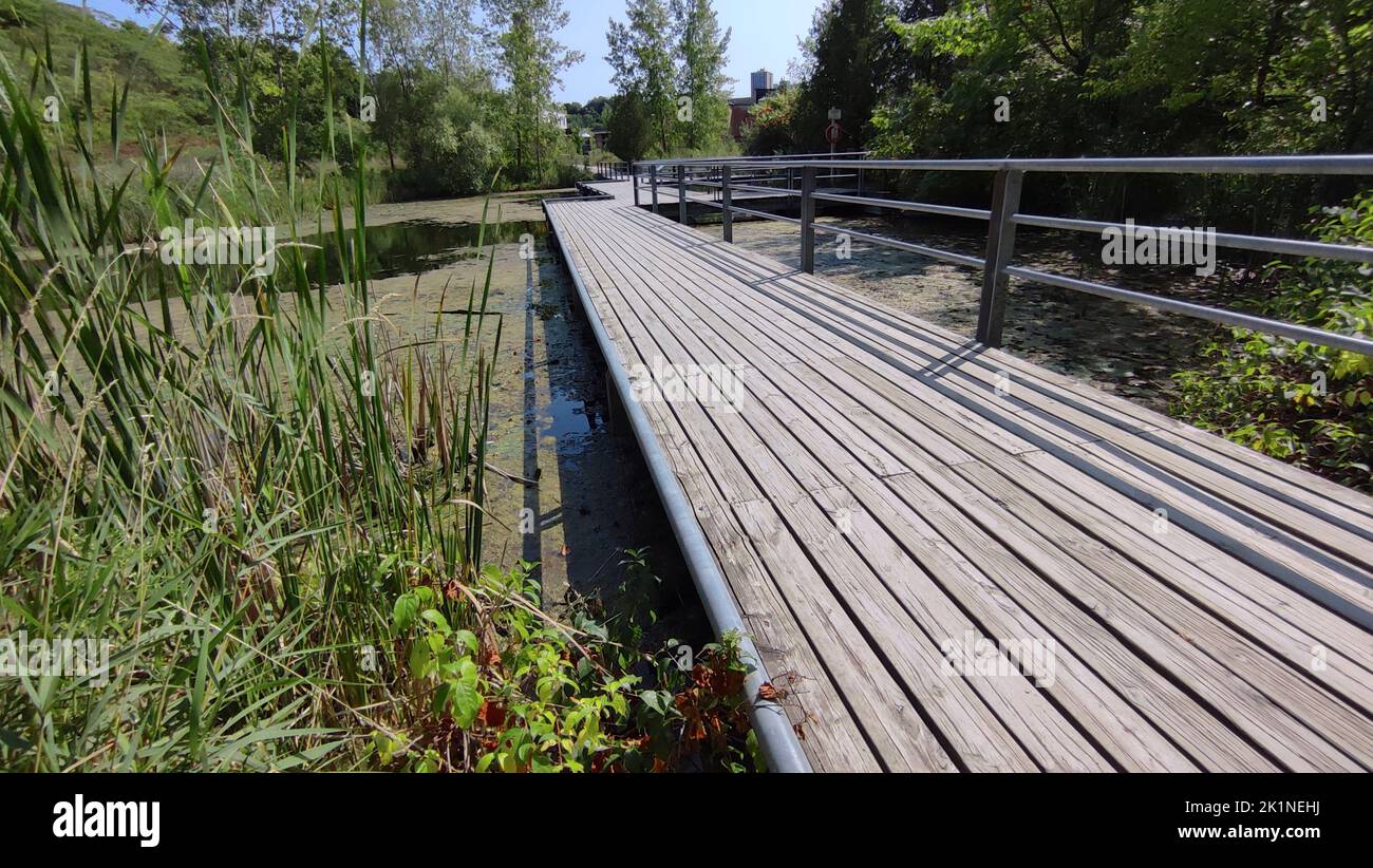 Wide angle view of the broad walk over a pond in a public park Stock Photo