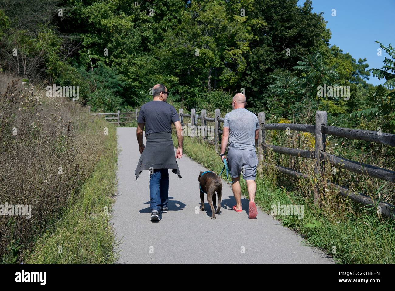 Healthy lifestyle of two mature healthy men walking the dog in the park Stock Photo