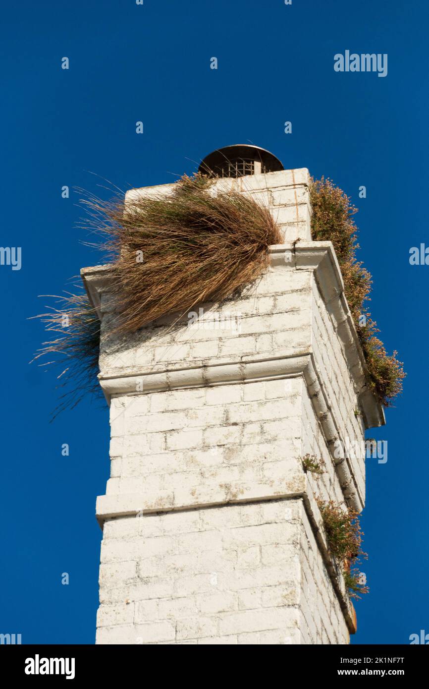 A close up view of chimney with the bright blue sky Stock Photo