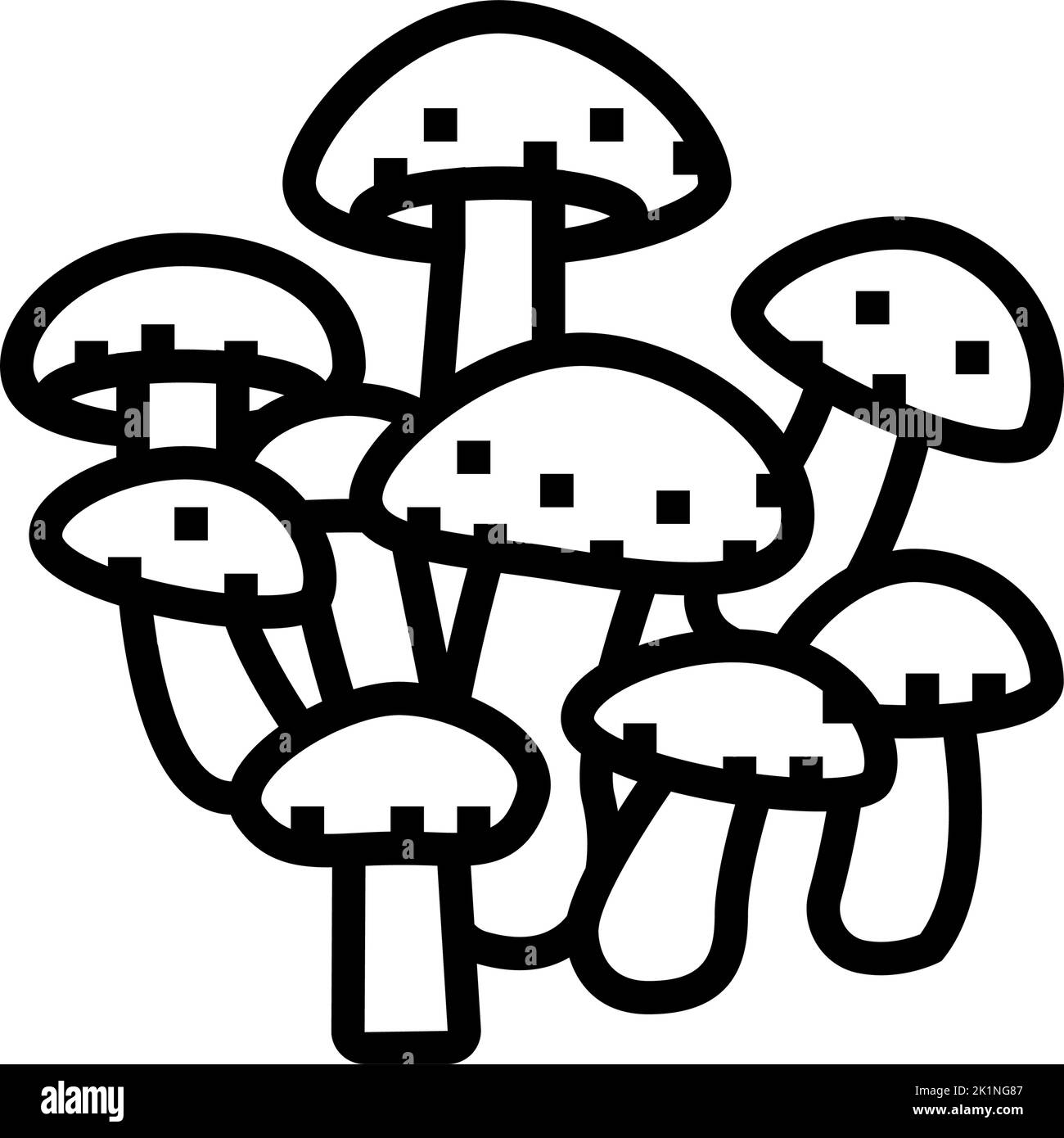 shiitake mushroom line icon vector illustration Stock Vector Image