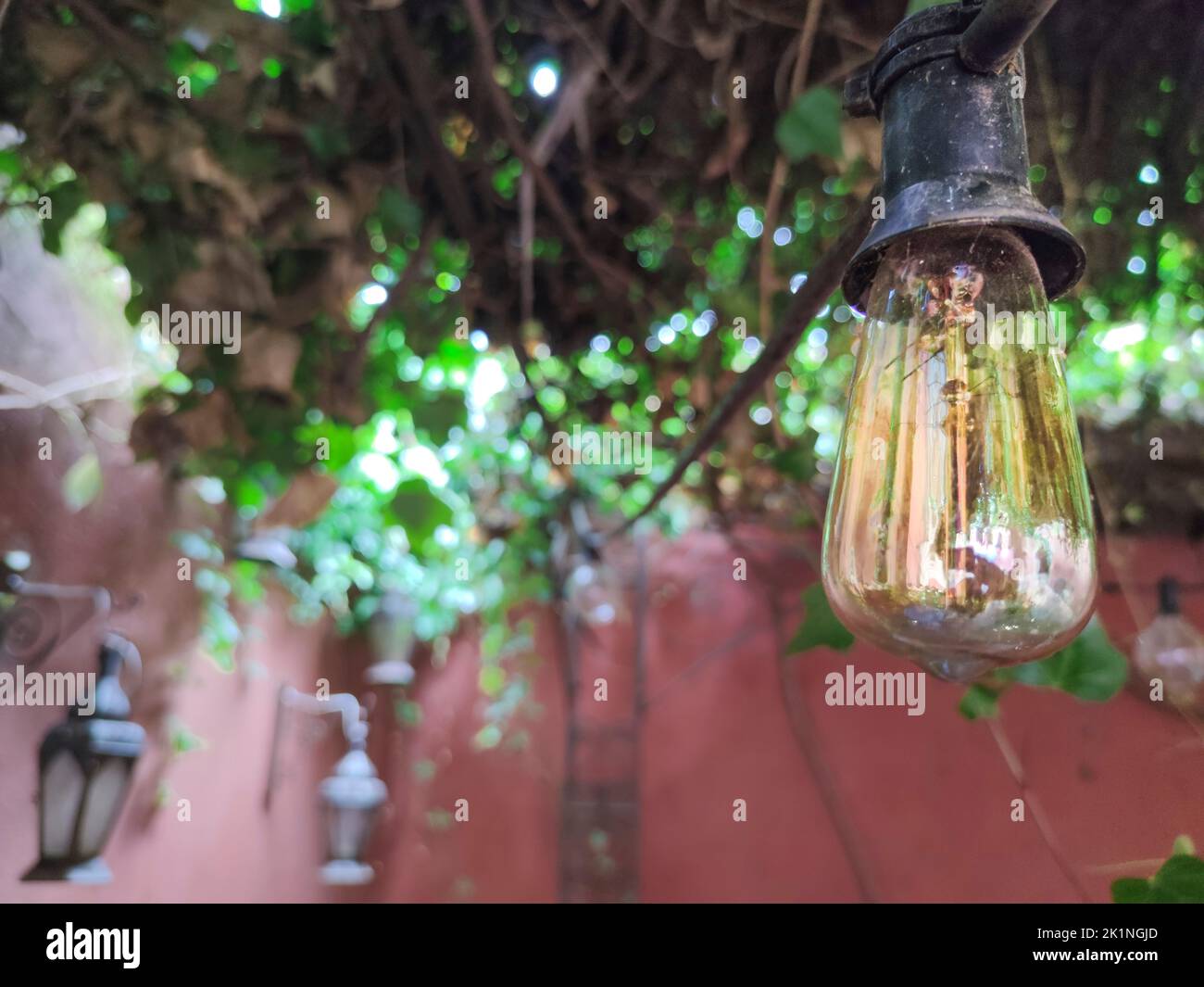 Led light retro bulb hanging from ivy vine. Arabic style bacground Stock Photo
