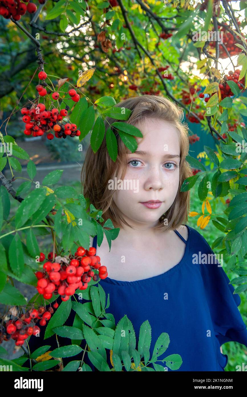 a girl with a rowan tree. Portrait of a 13yearold teenage girl with