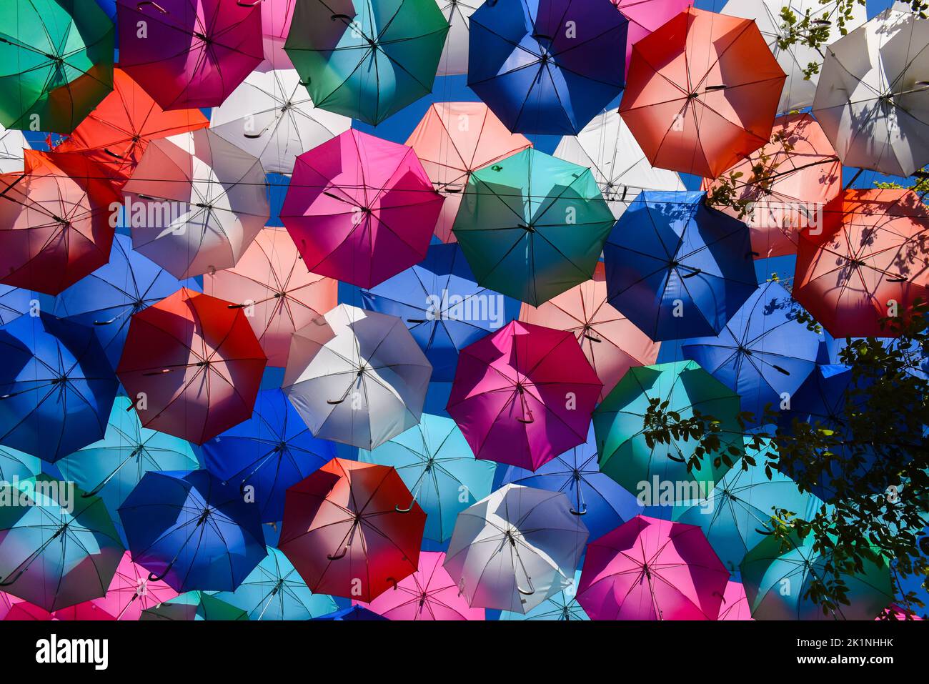 Many umbrellas hires stock photography and images Alamy