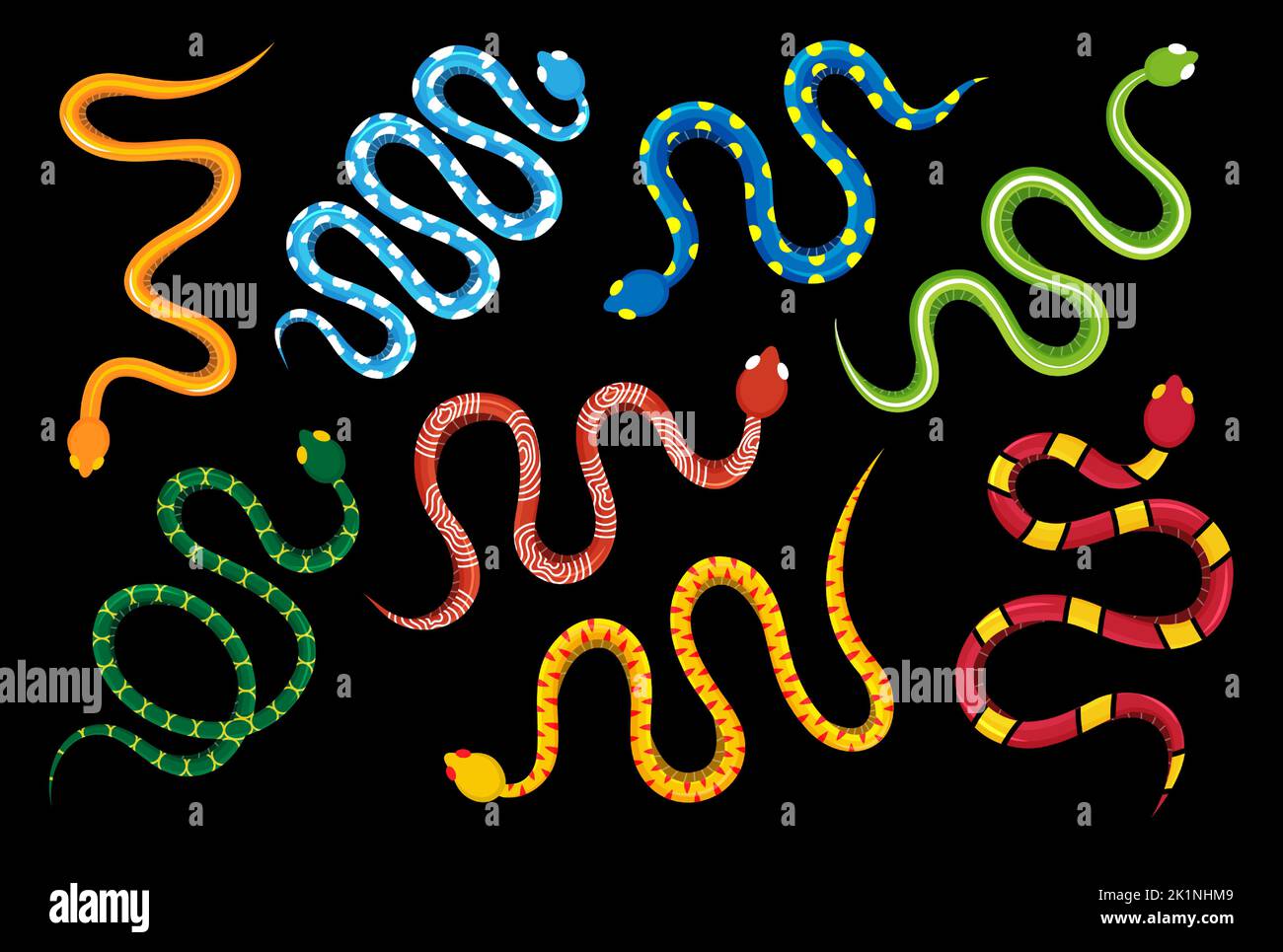 Colored snakes set. Dangerous exotic snakes. Tropical toxic reptile