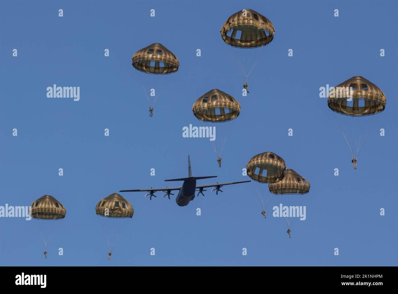 Arnhem, Netherlands. 17 September, 2022. U.S. Army and European Paratroopers descend onto the Drop Zone from a U.S. Air Force C-130 aircraft during Exercise Falcon Leap at Ginkelse Heide Drop Zone, September 17, 2022 in Arnhem, Netherlands. More than 1000 Paratroopers from 13 nations are taking part in the two week NATO exercise.  Credit: S1C Austin Berner/U.S. Army Photo/Alamy Live News Stock Photo