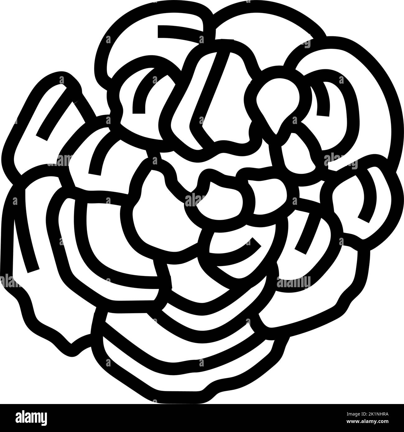 turkey-tail-mushroom-line-icon-vector-illustration-stock-vector-image