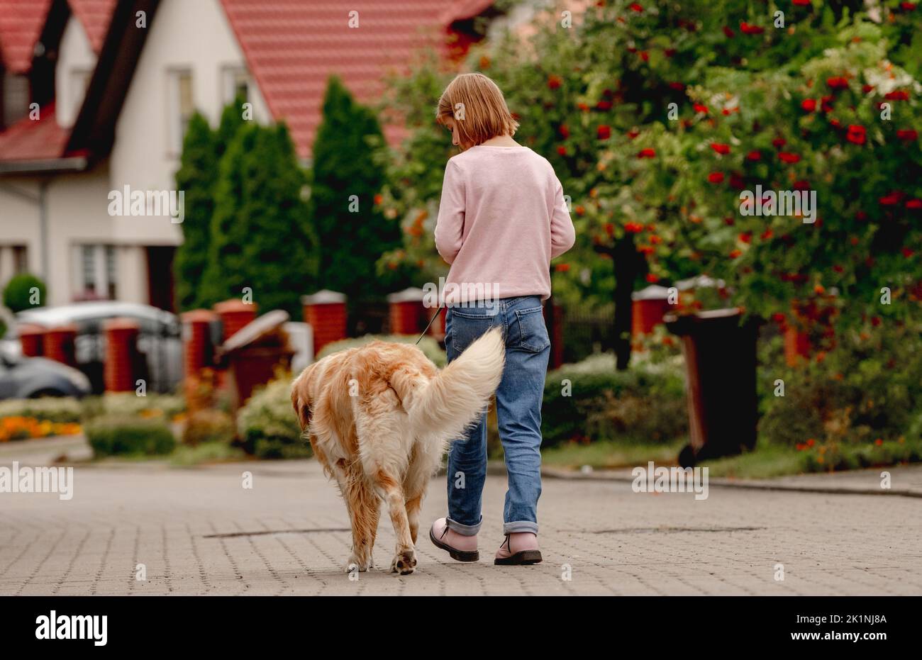 Preteen girl with golden retriever dog Stock Photo - Alamy