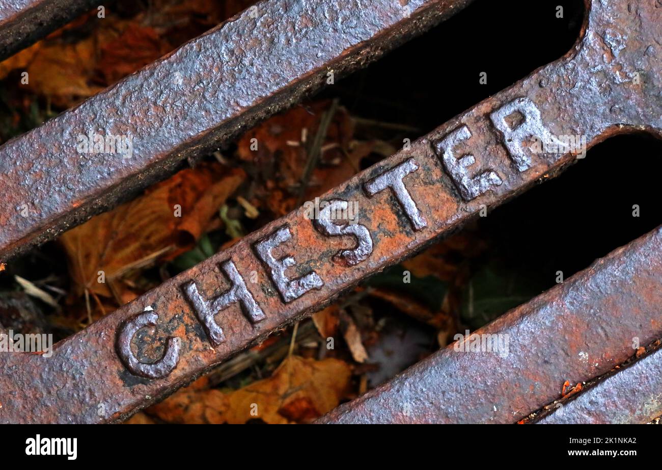 Embossed cast iron grid, grate, drain cover - Chester Stock Photo