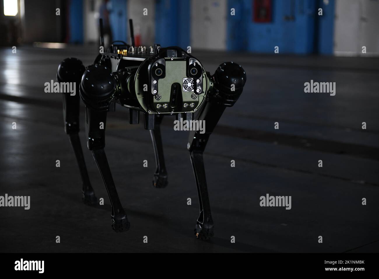 Demonstration shows innovative capabilities of robotic dog > Hill Air Force  Base > Article Display