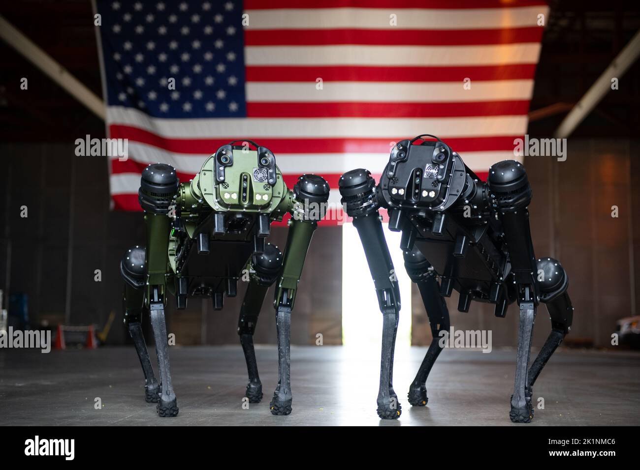 Cape Canaveral, United States of America. 27 July, 2022. Two Ghost Robotics Quadruped Vision 60 Unmanned Ground Vehicles known as robotic dogs, pose in front of an American flag at Cape Canaveral Space Force Station, July 27, 2022 in Cape Canaveral, Florida.  Credit: SrA Samuel Becker/US Space Force Photo/Alamy Live News Stock Photo