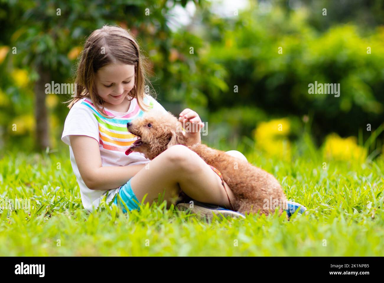 Kids play with cute little puppy. Children and baby dogs playing in sunny summer garden. Little girl holding puppies. Child with pet dog. Family and p Stock Photo