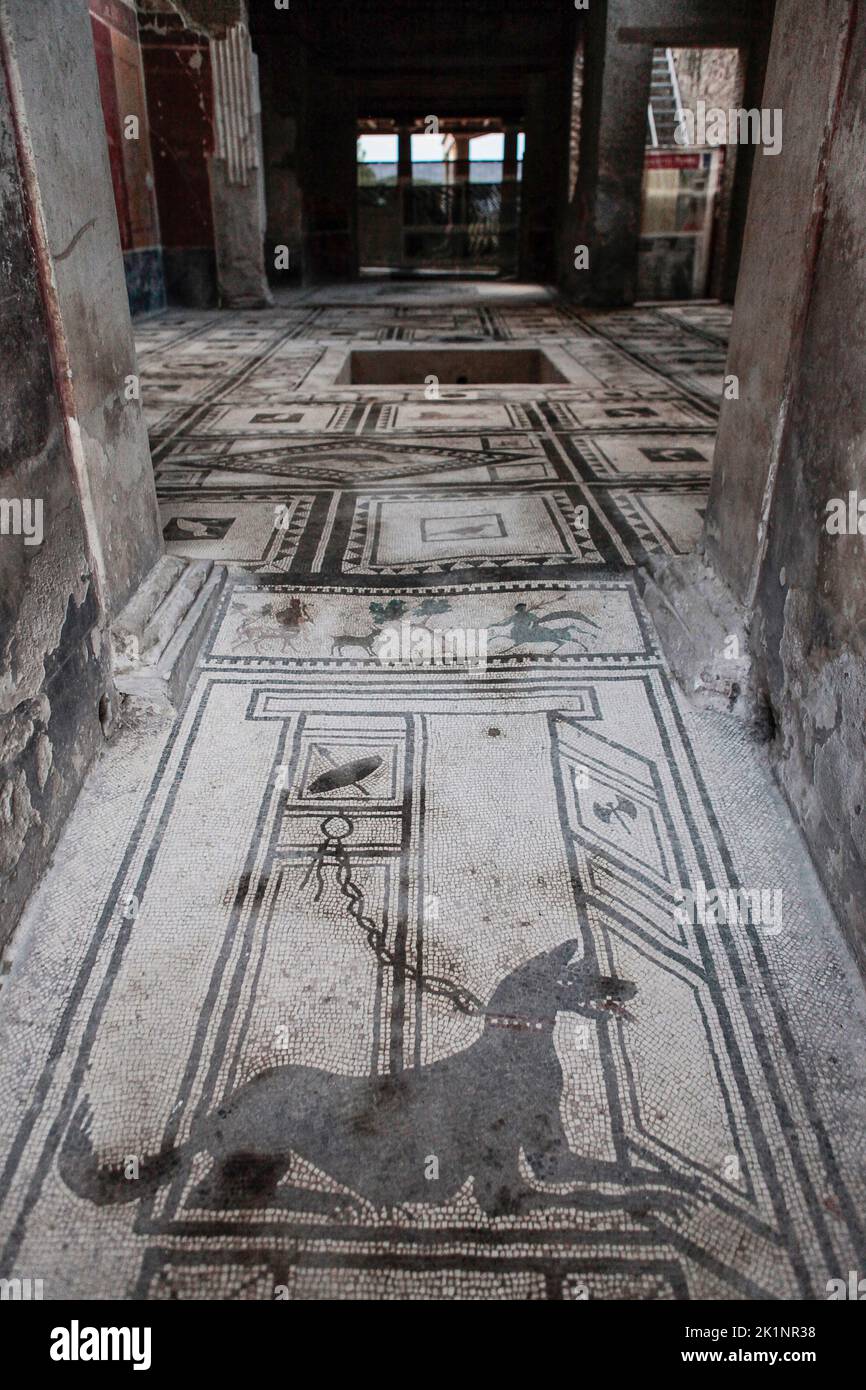 The vestibule or entrance floor of the House of Paquius Proculus in Pompeii, Italy paved with a mosaic depicting a guard dog chained to a door. Stock Photo