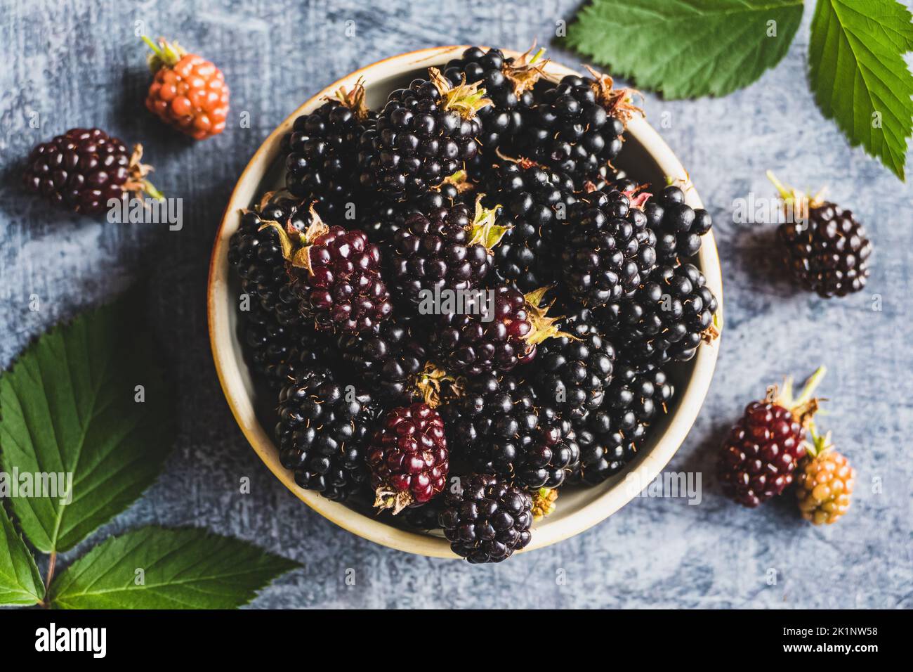 Blackberry fruits on in a bowl, food background, ripe blackberries closeup Stock Photo