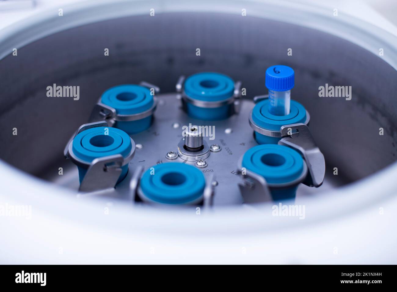 laboratory centrifuge at the cell culture and medicine laboratory Stock