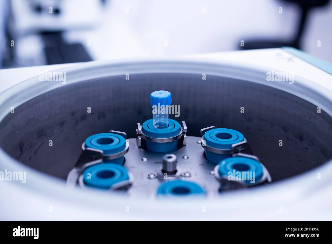 laboratory centrifuge at the cell culture and medicine laboratory Stock