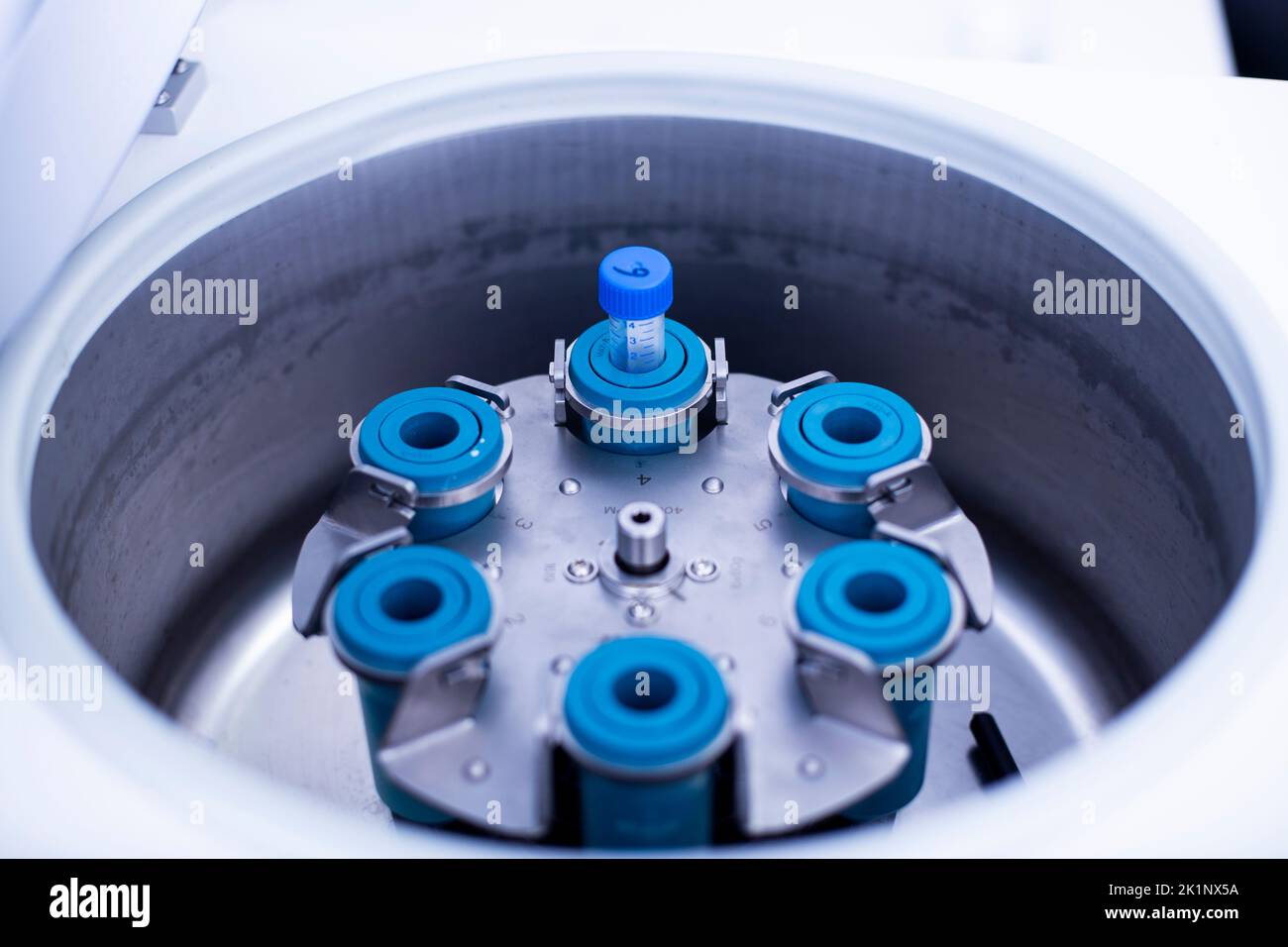 laboratory centrifuge at the cell culture and medicine laboratory Stock