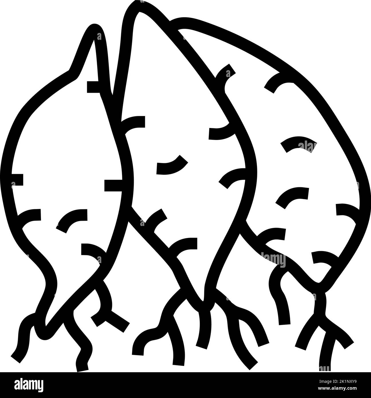 Purple sweet potatoes Stock Vector Images - Alamy