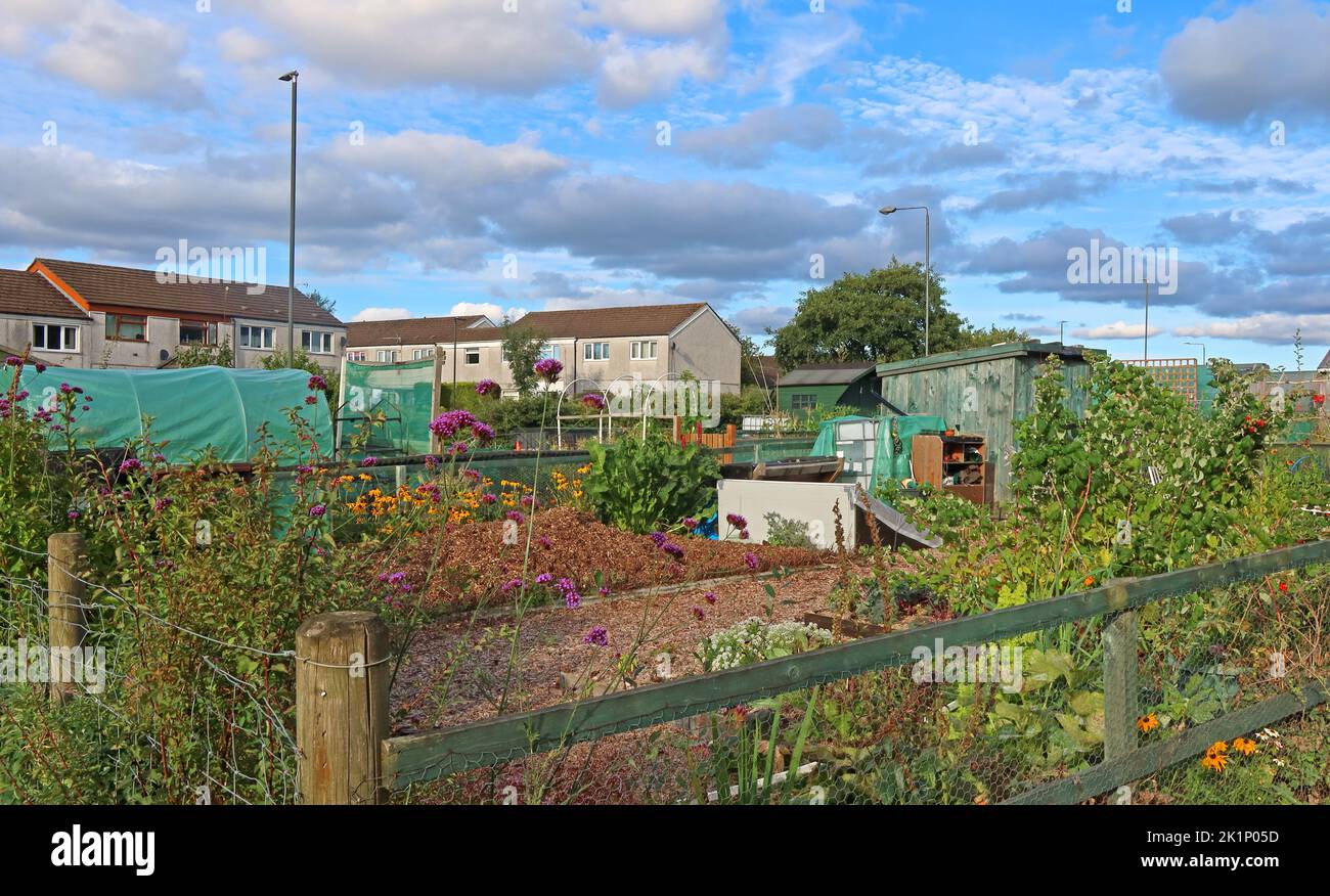 GAFA, Glossopdale Action For Allotments, Gamesley Estate, Melandra Castle Road, Gamesley, High Peak,England, UK, SK13 0BN Stock Photo
