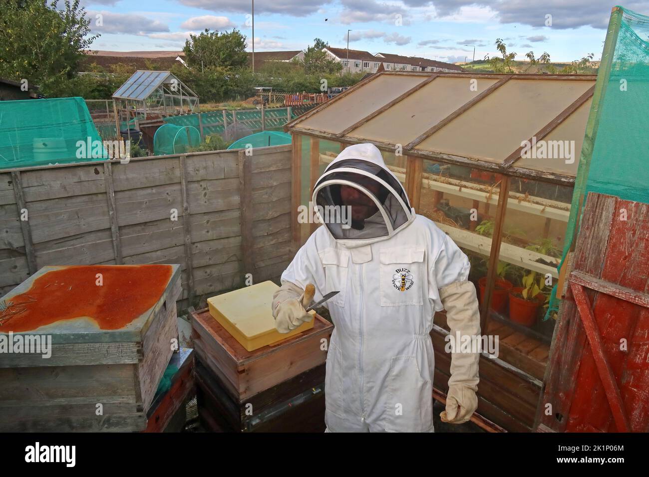 Bee keeping,GAFA, Glossopdale Action For Allotments, Gamesley Estate, Melandra Castle Road, Gamesley, High Peak,England, UK, SK13 0BN Stock Photo
