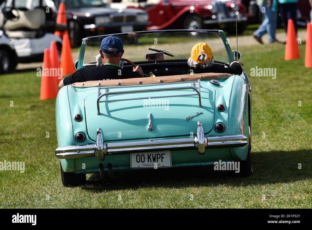 Austin Healey sports car at the "British Invasion" sports car show in