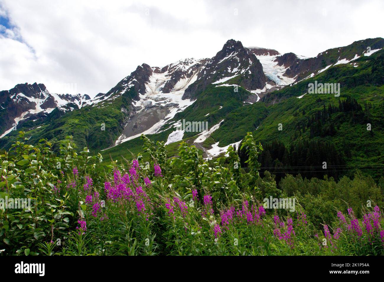 A scenic view of mountains in the Bear Glacier Provincial Park along the 37A route between Meziadin Lake and Stewart, northern BC, Canada Stock Photo