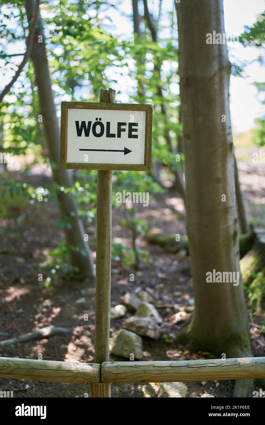 Sign with direction arrow to enclosure with wolves in a Forest in Germany. Translation of the Scripture: Wolves Stock Photo
