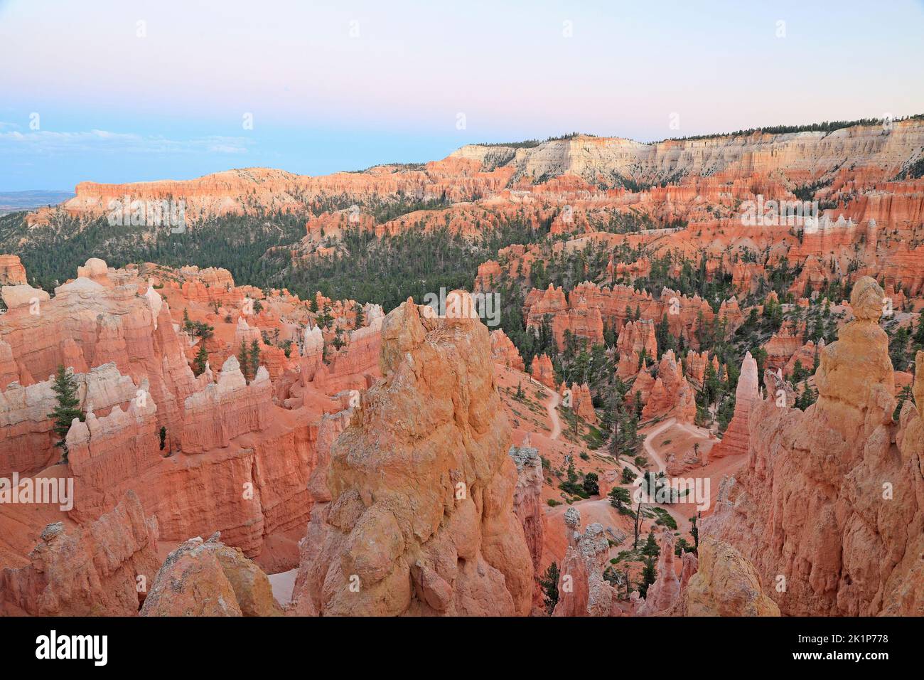 Orange hoodoos and forest in Bryce Canyon at sunset, USA Stock Photo