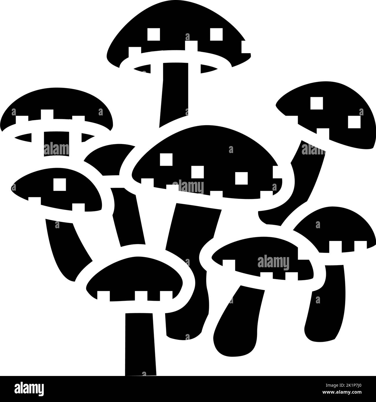 shiitake mushroom glyph icon vector illustration Stock Vector Image