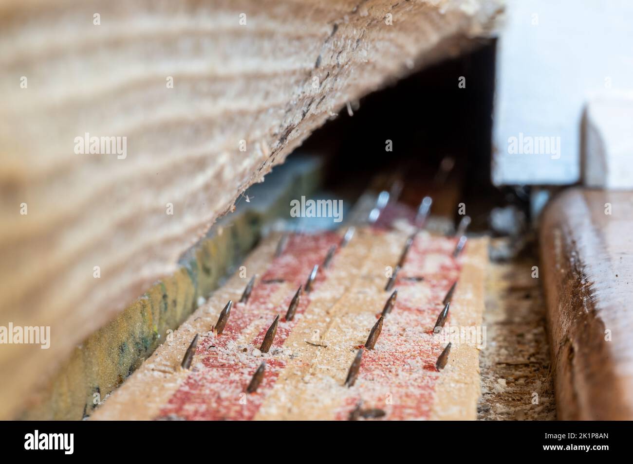 Carpet tack strip exposed during a flooring home improvement project