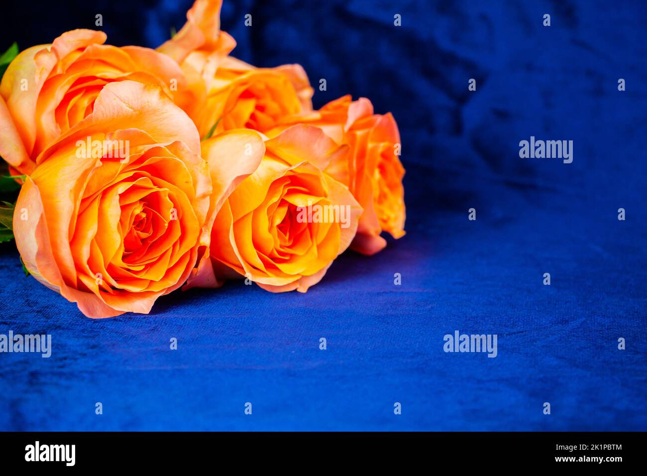Background for Valentine's Day, March eighth, mother's Day, with pink roses. with space to copy. Stock Photo