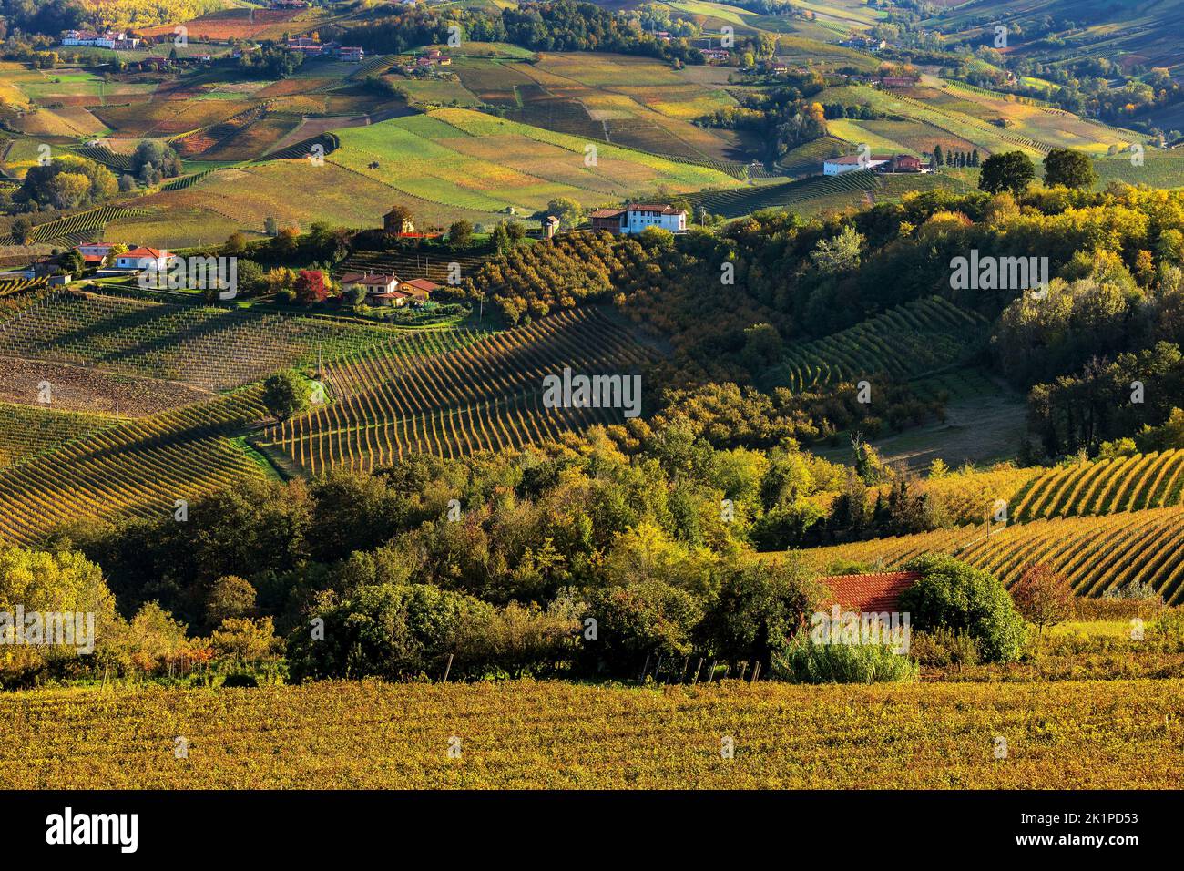View from above of colorful autumnal vineyards on the hills of Langhe in Piedmont, Northern Italy. Stock Photo