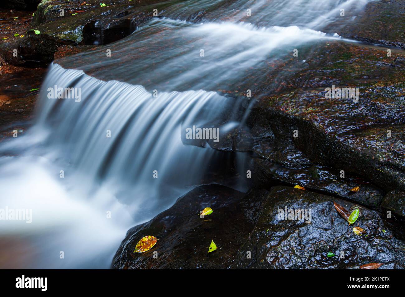 Close-up of a pure tropical waterfall in the rainy season, freshwater flowing over the edge of sedimentary sandstone, falling leaves on the rock. Stock Photo